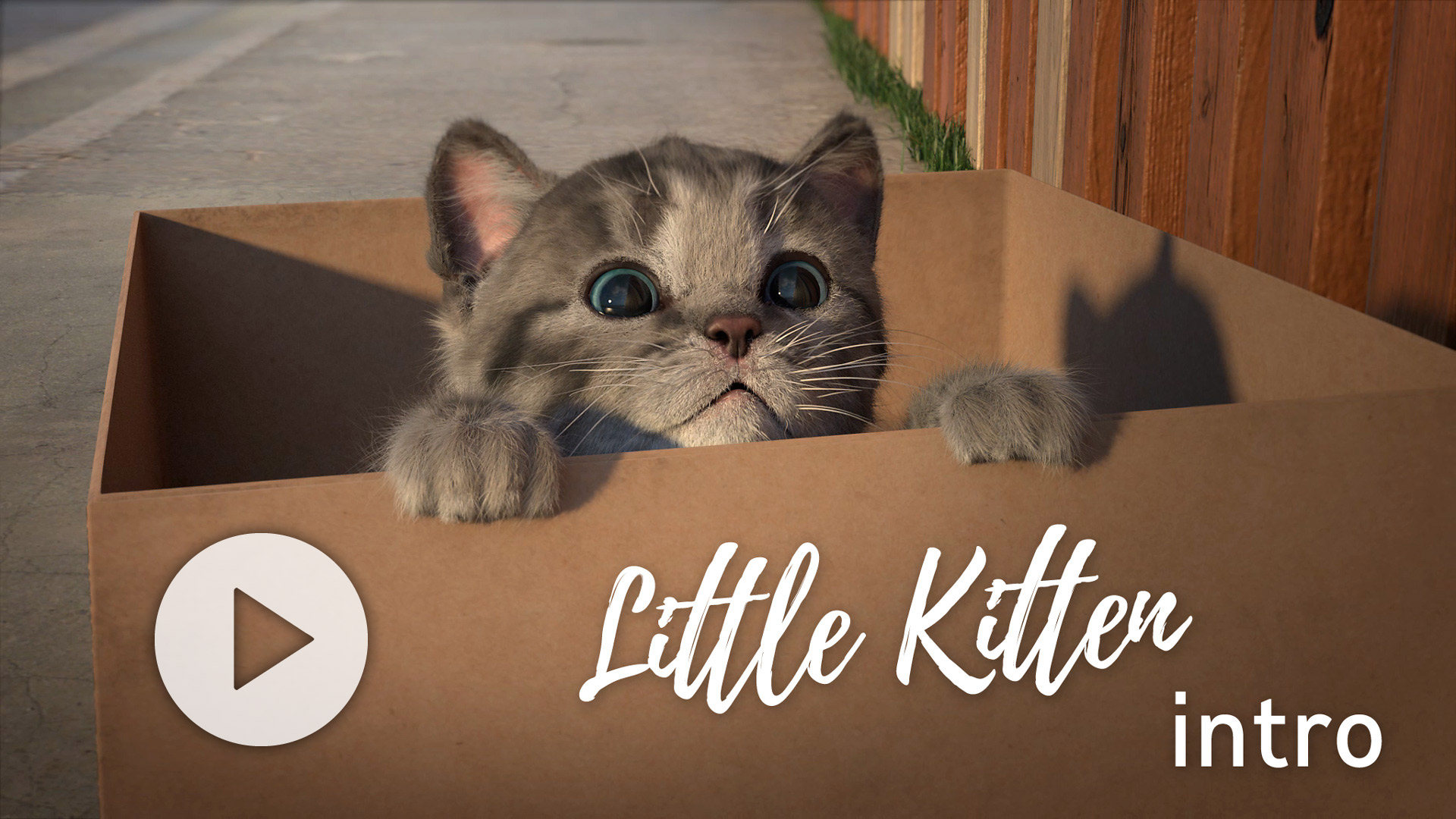 Включи видео где котик. Мой маленький котенок. Игра про маленького кота. Милые котята в коробке. Игра про котенка в коробке.